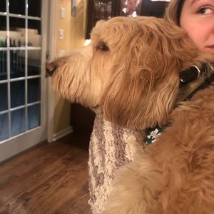 Meet your Posher, Kristen